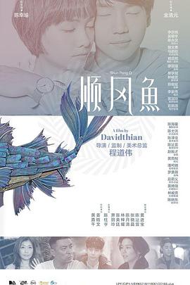 小鸟酱在线播放