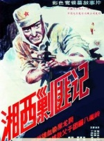 国内精品久久久久久久