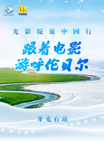 国内精品久久久久久