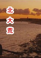 无限制的明星演员