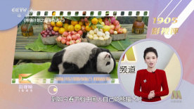 美女福利网站