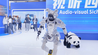 亚洲综合在线观看视频